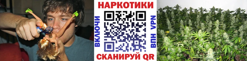 Купить Краснозаводск Бошки Шишки  Бутират  A PVP  МЕФ  ГАШИШ  Кокаин 