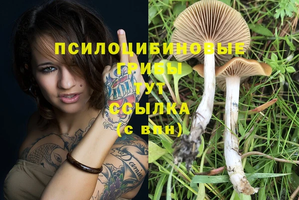 метамфетамин Алексин